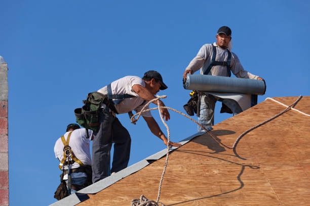 Best Local Roofing Companies  in Darien, GA