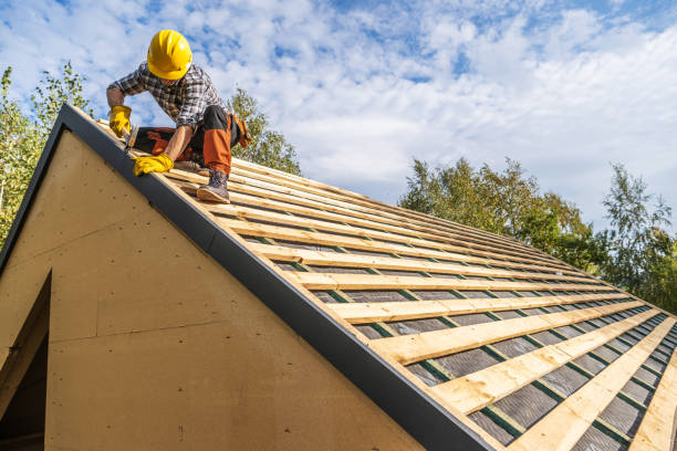 Best Roof Repair Services  in Darien, GA