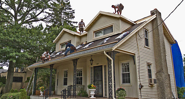 Best Best Roofing Contractors  in Darien, GA