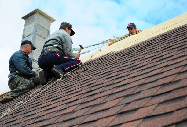 Best Metal Roofing Contractor  in Darien, GA