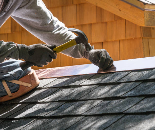 Best Roof Restoration Services  in Darien, GA